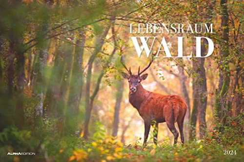 Lebensraum Wald 2024 - Bildkalender 49,5x33 cm - Tiere und Pflanzen in unseren heimischen Wäldern - Wandkalender - Wandplaner - Tierkalender von Alpha Edition