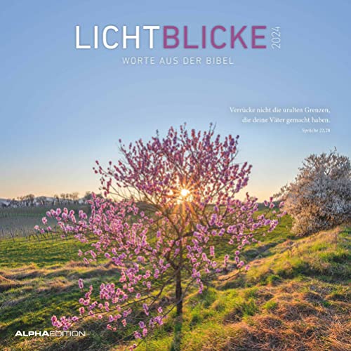 Lichtblicke 2024 - Broschürenkalender 30x30 cm (30x60 geöffnet) - Kalender mit Platz für Notizen - inkl. Poster - Bibelzitate - Bildkalender - Wandkalender: Worte aus der Bibel von Alpha Edition