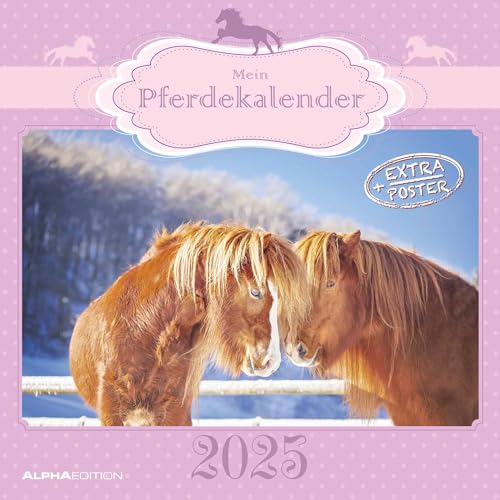 Mein Pferdekalender 2025 - Broschürenkalender 30x30 cm (30x60 geöffnet) - Kalender mit Platz für Notizen - Bildkalender - Wandplaner - Wandkalender von Alpha Edition