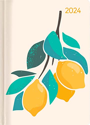 Mini-Buchkalender Style Fruits 2024 - Taschen-Kalender A6 - Dschungel - Day By Day - 352 Seiten - Notiz-Buch - Alpha Edition von Alpha Edition