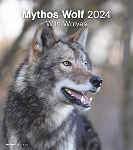 Mythos Wolf 2024 - Foto-Kalender - Wand-Kalender - 30x34: Wild Wolves von Alpha Edition