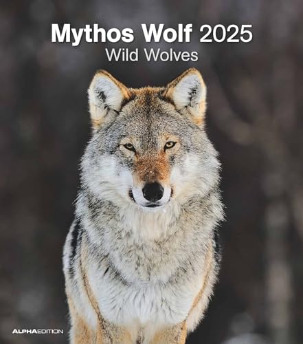 Alpha Edition - Mythos Wolf 2025 Bildkalender, 30,x34cm, Kalender mit vielfältigen Aufnahmen aus der Welt der Wölfe, Mondphasen, Feiertage DE/AT/CH und internationales Kalendarium: Wild Wolves von Alpha Edition