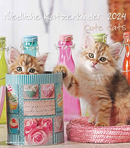 Niedliche Katzenkinder 2024 - Wand-Kalender - Tier-Kalender - 30x34: Cute Cats von Alpha Edition