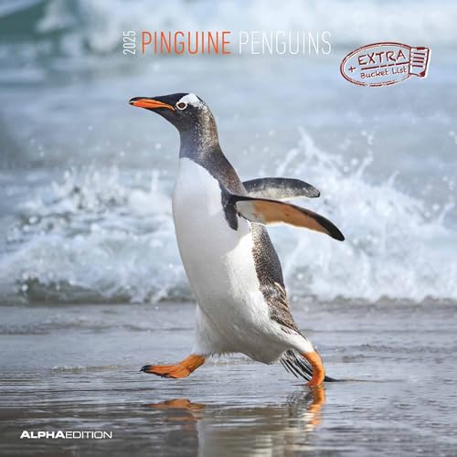 Pinguine 2025 - Broschürenkalender 30x30 cm (30x60 geöffnet) - Kalender mit Platz für Notizen - Penguins - Bildkalender - Wandplaner - Wandkalender von Alpha Edition