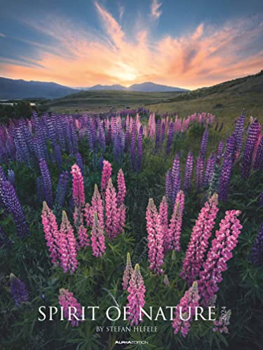 Spirit of Nature 2024 - Bildkalender XXL 48x64 cm - hochwertiger Wandkalender im Hochformat - Landschaftskalender - Naturkalender - Wandplaner: by Stefan Hefele von Alpha Edition