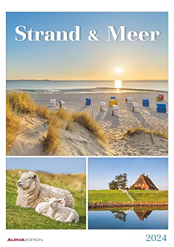 Strand & Meer 2024 - Bildkalender A3 (29,7x42 cm) - mit Feiertagen - Triplets - drei Bilder pro Monat - Naturkalender - Wandplaner - Wandkalender von Alpha Edition