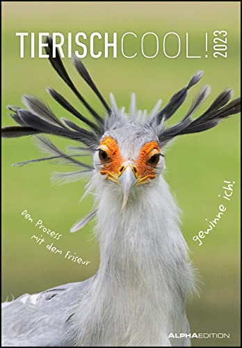 Tierisch cool! 2023 - Bild-Kalender 23,7x34 cm - mit lustigen Sprüchen - Humor - Wandkalender - mit Platz für Notizen - Alpha Edition Tierisch cool! 2023 - Bild-Kalender 23,7x34 cm - mit lustigen Sprüchen - Humor - Wandkalender - mit Platz für Notizen - Alpha Edition von Alpha Edition