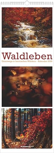 Waldleben - Triplets 2026 - Streifenkalender XXL 25x69 cm - Bildkalender im Hochformat - Naturkalender Waldleben - Triplets 2026 - Streifenkalender XXL 25x69 cm - Bildkalender im Hochformat - Naturkalender von Alpha Edition