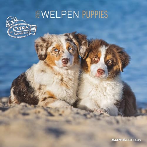Welpen 2025 - Broschürenkalender 30x30 cm (30x60 geöffnet) - Kalender mit Platz für Notizen - Puppies - Hundekalender - Bildkalender - Wandkalender von Alpha Edition
