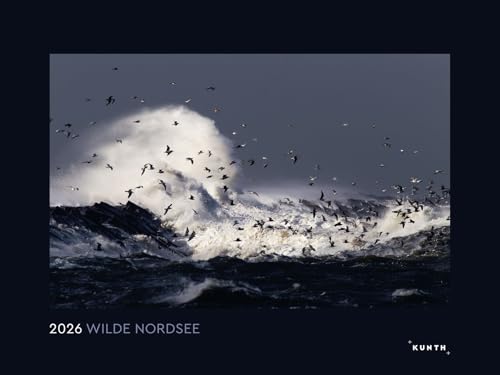 Wilde Nordsee - KUNTH Wandkalender 2026: Hochwertiger, bildstarker Kalender mit Spiralbindung im Großformat (KUNTH Wandkalender Black Edition 60 x 45 cm) von KUNTH