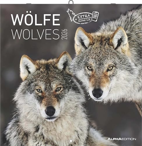 Wölfe 2026 - Broschürenkalender 30x30 cm (30x60 geöffnet) - Kalender mit Platz für Notizen - Wolves - Bildkalender - Wandplaner - Alpha Edition: Wolves von Alpha Edition