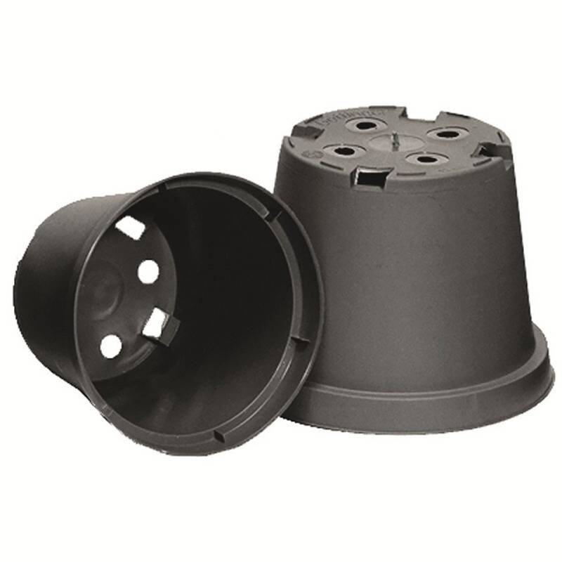Alpha Thermotec Blumentopf Rundtöpfe Ø 10 x 7,5 schwarz (100 St) von Alpha Thermotec