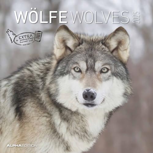 Alpha Edition - Wölfe 2025 Broschürenkalender, 30x30cm, Wandkalender mit Platz für Notizen und Termine, beeindruckende Motive von Wölfen, Monatsübersicht und Ferientermine DE/AT/CH von Alpha Edition