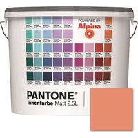 ALPINA Wandfarbe »Pantone«, Wandfarbe »Pantone«, Innenfarbe Canyon Sunset 2,5 Liter matt - rot ALPINA Wandfarbe »Pantone«, Wandfarbe »Pantone«, Innenfarbe Canyon Sunset 2,5 Liter matt - rot von Alpina