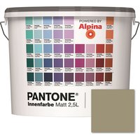 ALPINA Wandfarbe »Pantone«, Wandfarbe »Pantone«, Innenfarbe Elm 2,5 Liter matt - braun ALPINA Wandfarbe »Pantone«, Wandfarbe »Pantone«, Innenfarbe Elm 2,5 Liter matt - braun von Alpina