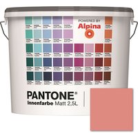 ALPINA Wandfarbe »Pantone«, Wandfarbe »Pantone«, Innenfarbe Lobster Bisque 2,5 Liter matt - rot ALPINA Wandfarbe »Pantone«, Wandfarbe »Pantone«, Innenfarbe Lobster Bisque 2,5 Liter matt - rot von Alpina