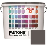 ALPINA Wandfarbe »Pantone«, Wandfarbe »Pantone«, Innenfarbe Plum Kitten 2,5 Liter matt - grau von Alpina