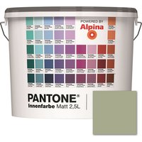 ALPINA Wandfarbe »Pantone«, Wandfarbe »Pantone«, Innenfarbe Swamp 2,5 Liter matt - braun ALPINA Wandfarbe »Pantone«, Wandfarbe »Pantone«, Innenfarbe Swamp 2,5 Liter matt - braun von Alpina