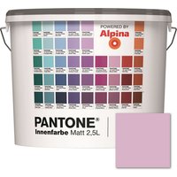 ALPINA Wandfarbe »Pantone«, Wandfarbe »Pantone«, Innenfarbe Winsome Orchid 2,5 Liter matt - lila von Alpina