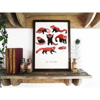 Pack Roter Pandas Kunstdruck - A4 Recyclingpapier Antiquariat Vintage Buchteller von AlsotheBison