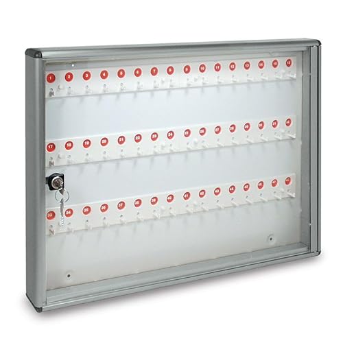 ALUBOX Schlüsselkasten Wandmontage aus Aluminium 30X5X14 cm – Wand-Schlüsselkasten für Innen- oder Außenbereich Geschützt – Made in Italy mit 48 Nummerierten Haken (METALLISCHES SILBER) von CASSETTE POSTALI ALUBOX