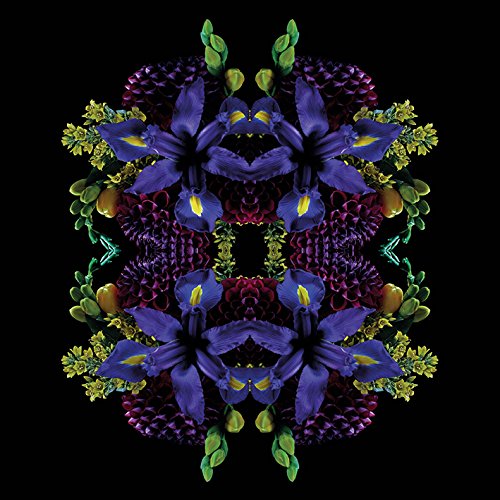Alyson Fennell Leinwanddruck, Polyester, Mehrfarbig, 40 x 40 cm von Alyson Fennell