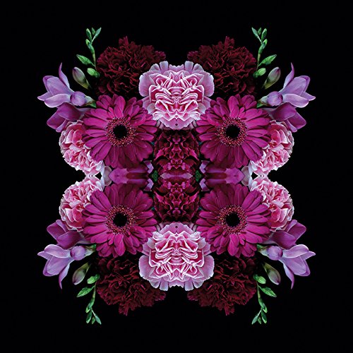 Alyson Fennell Leinwanddruck, Polyester, Mehrfarbig, 40 x 40 cm Alyson Fennell Leinwanddruck, Polyester, Mehrfarbig, 40 x 40 cm von Alyson Fennell