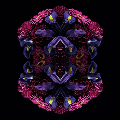 Alyson Fennell Leinwanddruck, Polyester, Mehrfarbig, 40 x 40 cm von Alyson Fennell