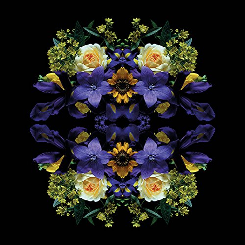 Alyson Fennell Leinwanddruck, Polyester, Mehrfarbig, 40 x 40 cm von Alyson Fennell