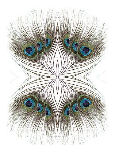 Alyson Fennell Peacock Feathers Kaleidoscope, 60 x 80 cm, Leinwanddruck, Mehrfarbig von Alyson Fennell