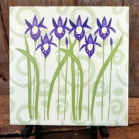 Iris Und Swirl Untersetzer von AlysonChaseStudio
