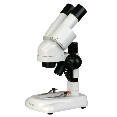 AmScope SE120 Tragbares Stereomikroskop mit doppelter Beleuchtung von IQCrew Kid mit abgewinkeltem Kopf, 20X von AmScope