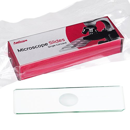 Amscope BS-C6 6-er Packung Objektträger aus Glas 6 Stück mit 0,5mm Vertiefung Durchmesser der Vertiefung 16mm geschliffeme Kanten Masse: 25mm x 75mm x 1mm von AmScope