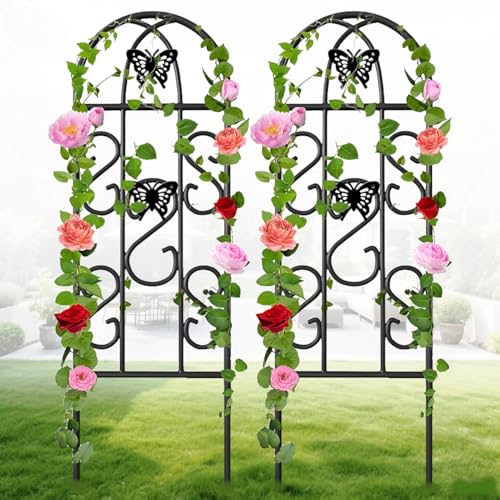 Amagabeli 2er Set Garten Rankgitter Metall 152 x 46 cm Rostfreies Schwarzes Eisen Schmetterling Topfgemüse Blumen Terrasse Metallgitter Gitterplatten für Efeu Rosen Gurken Clematis-Unterstützungen von Amagabeli Garden Home