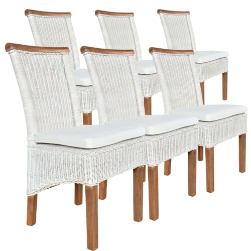 Amago home Esszimmer-Stühle Set Rattanstühle Perth 6 Stück Esstisch Stühle weiß Korbstühle nachhaltig Farbe mit Sitzkissen von Amago home