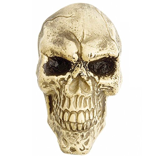 Amakando Halloween Totenkopf - 25 cm - Skull Wanddekoration Totenköpfe Horrordeko Schädel Halloweendeko Gruselige Halloween Dekoration Totenschädel Wand Deko von Amakando