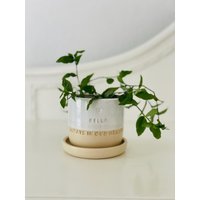 Handgefertigter Erinnerungspflanzer, Erinnerungsort, Personalisiertes Beileidgeschenk, Sukkulententopf von AmanitaPottery
