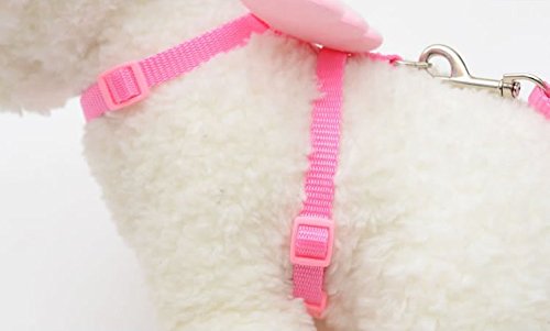 Bestes Hundegeschirr fürs Auto Designer-Halsbänder mit verstellbaren Flügeln für Set-Leinen und Hunde, Haustiere, süße Engel, Haustiere, kleine Haustiere, groß hundegeschirre (1-,Pink, XS) von Amaone