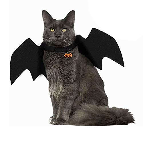 Amasawa Haustiere Fledermausflügel,Halloween Haustier Kostüm Fledermaus,Haustiere Kostüme Kleidung Halloween Kürbisse Katzenglocke Fledermausflügel Katzenfledermaus Kostüm für Hündchen Katze von Amasawa