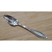 Antike Wm A Rogers 1926 Coronet/Mystic Grapefruit/Orange Löffel 5", 5Er Set von AmazingSilver21