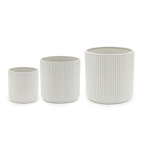 Amazon Basics Rund, Geriffelte Keramik-Pflanzgefäße, verschiedene Größen, 3 Stück, Weiß, 15.2, 20.3 und 25.4 cm von Amazon Basics