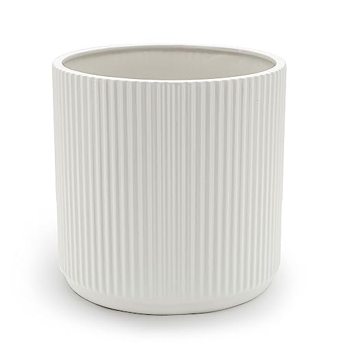 Amazon Basics Rund, Geriffeltes Keramik-Pflanzgefäß, 20.3 cm, Weiß von Amazon Basics