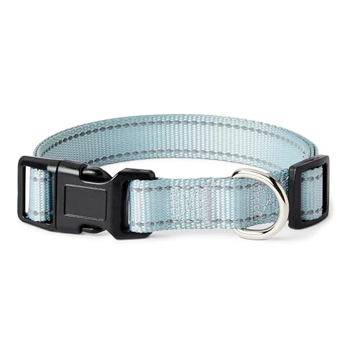 Amazon Basics Hundehalsband, Polyester, Größe M, Cyanblau von Amazon Basics