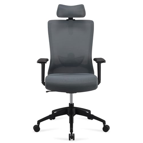 Amazon Basics Ergonomischer Chefsessel, hohe Rückenlehne, Schreibtischstuhl, Bürostuhl, verstellbare Kopfstütze, Armlehnen und Lendenwirbelstütze, 63 x 59,5 x 124 cm, grau von Amazon Basics