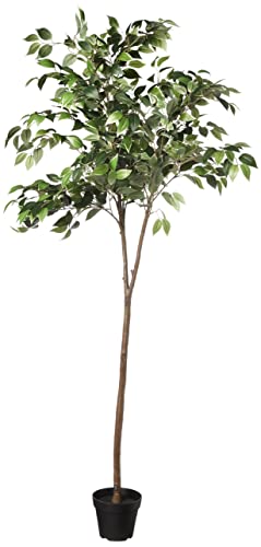 Amazon Basics künstlicher Ficusbaum mit Kunststoff-Blumentopf – 160 cm, Grün von Amazon Basics