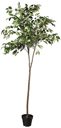 Amazon Basics künstlicher Ficusbaum mit Kunststoff-Blumentopf – 160 cm, Grün von Amazon Basics