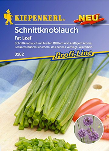 Kiepenkerl, Schnittknoblauch Fat Leaf von Kiepenkerl