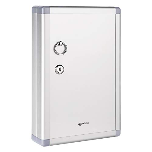 Amazon Basics Schlüsselkasten für 24 Schlüssel, abschließbarer Kasten, Rechteckig, 6.1 x 21.6 x 31.8 cm, Silber von Amazon Basics