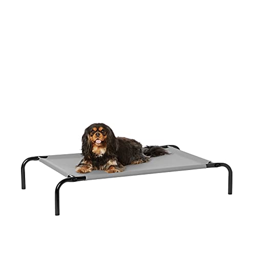 Amazon Basics – Erhöhtes Haustierbett mit kühlender Wirkung, Gr. S, 90 x 55 x 19 cm, Grau von Amazon Basics