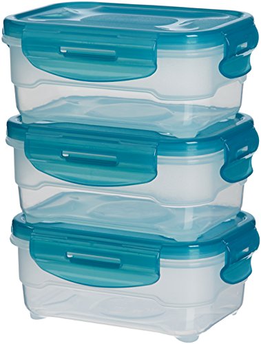 Amazon Basics Gefrierbehälter im Set, mit Deckel, luftdicht, auslaufsicher, stapelbar, für Kühlschrank/Gefriertruhe, BPA-frei, Kunststoff, mikrowellen- und spülmaschinenfest, 3 x 0.6 l, hellblau von Amazon Basics
